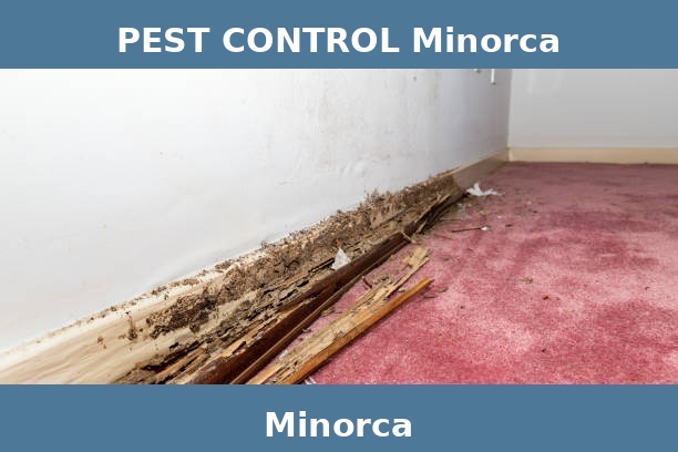 PEST CONTROL Minorca